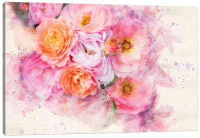 Splashy Pink Roses Canvas Art Print - Kevin Clifford