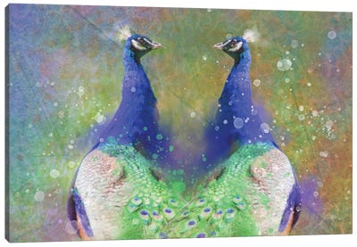 Twin Splashy Peacocks Canvas Art Print - Indian Décor