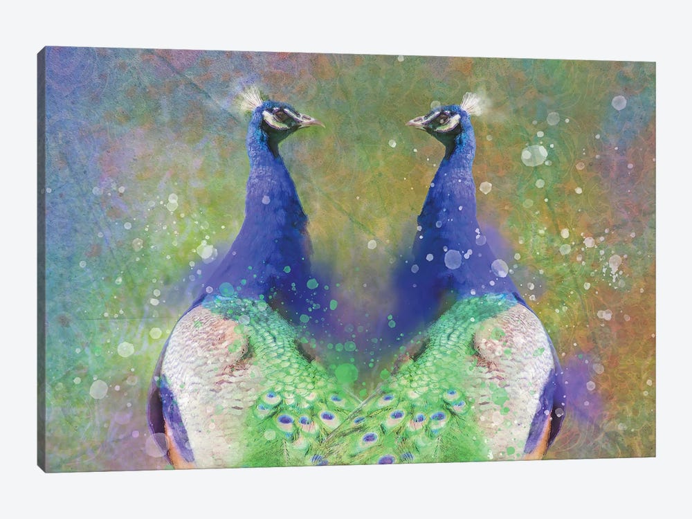 Twin Splashy Peacocks by Kevin Clifford 1-piece Canvas Print