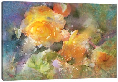 Splashy Yellow Roses Canvas Art Print - Kevin Clifford