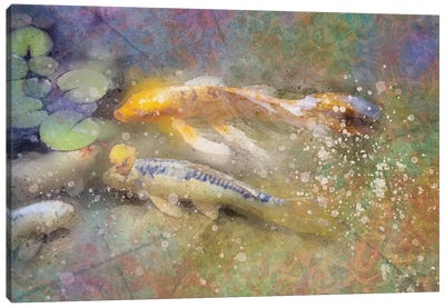 Splashy Koi Canvas Art Print - Pond Art