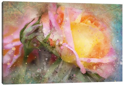 Splashy Yellow Rose Canvas Art Print