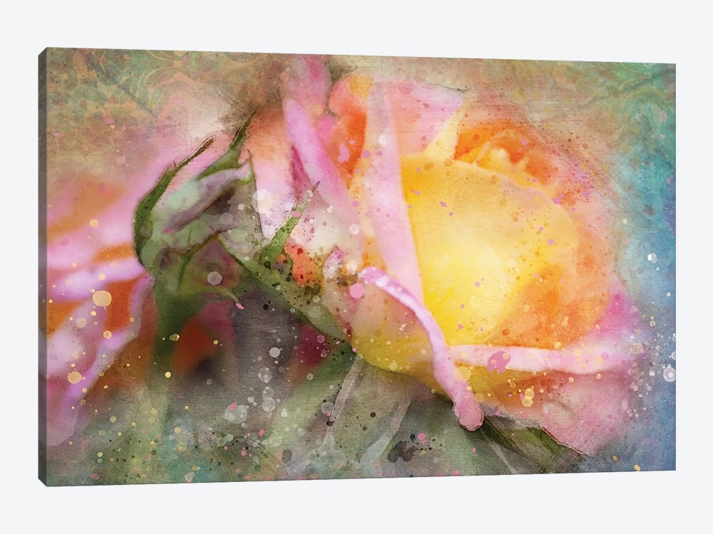 Splashy Yellow Rose by Kevin Clifford 1-piece Canvas Artwork