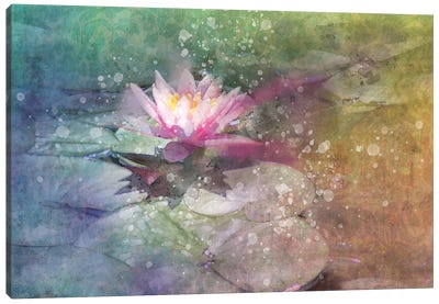 Splashy Lilly Pad Canvas Art Print - Kevin Clifford
