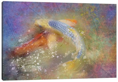 Splashy Koi Pond Canvas Art Print - Kevin Clifford