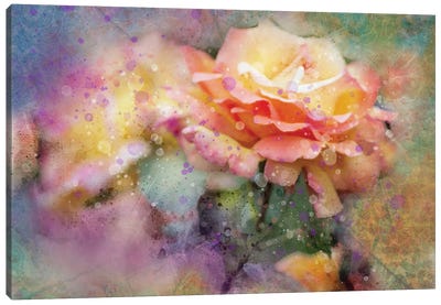 Splashy Yellow Roses2 Canvas Art Print - Kevin Clifford