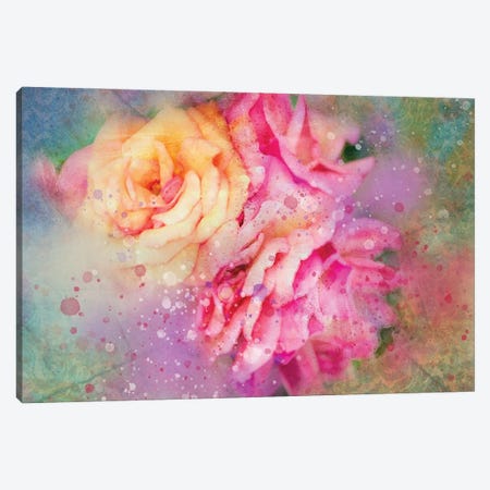 Splashy Colorful Roses Canvas Print #KCF35} by Kevin Clifford Canvas Wall Art