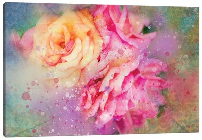 Splashy Colorful Roses Canvas Art Print
