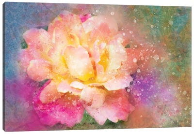 Splashy Colorful Rose Canvas Art Print - Kevin Clifford
