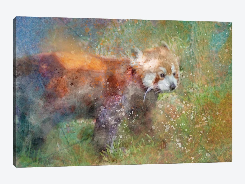Splashy Red Panda by Kevin Clifford 1-piece Art Print