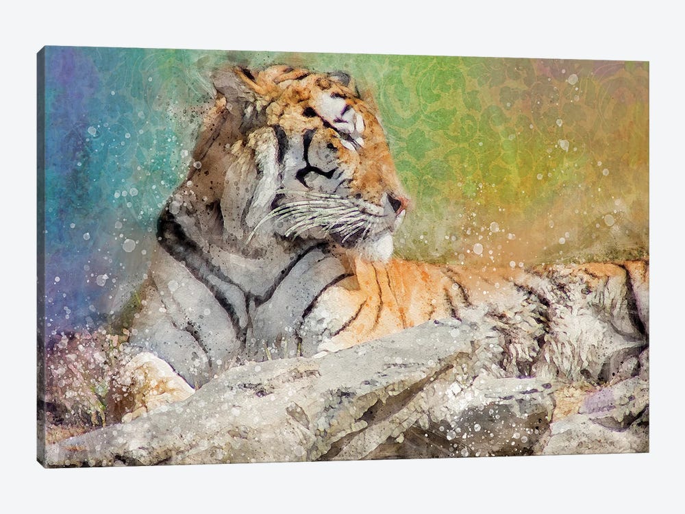 Splashy Tiger by Kevin Clifford 1-piece Canvas Artwork