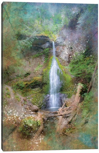 Calming Waterfall VI Canvas Art Print