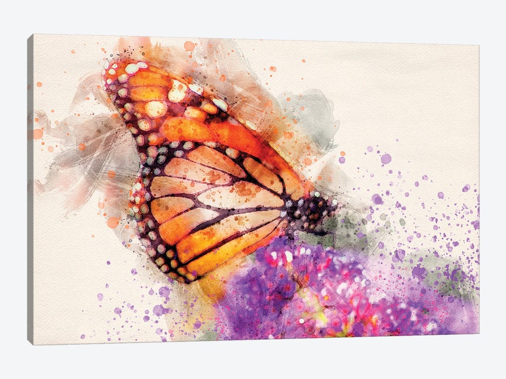 Butterfly I by Kevin Clifford 1-piece Canvas Art