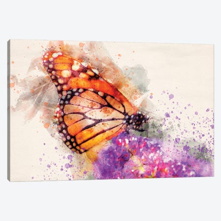 Butterfly I Canvas Print #KCF55} by Kevin Clifford Canvas Art