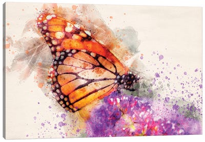 Butterfly I Canvas Art Print - Kevin Clifford
