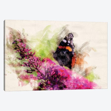 Butterfly II Canvas Print #KCF56} by Kevin Clifford Canvas Wall Art