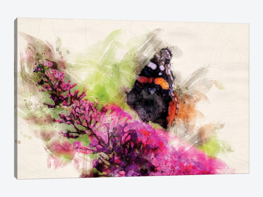 Butterfly II by Kevin Clifford 1-piece Canvas Print