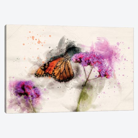 Butterfly III Canvas Print #KCF57} by Kevin Clifford Canvas Artwork