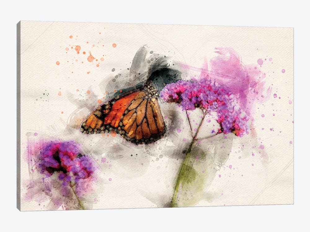 Butterfly III by Kevin Clifford 1-piece Canvas Wall Art