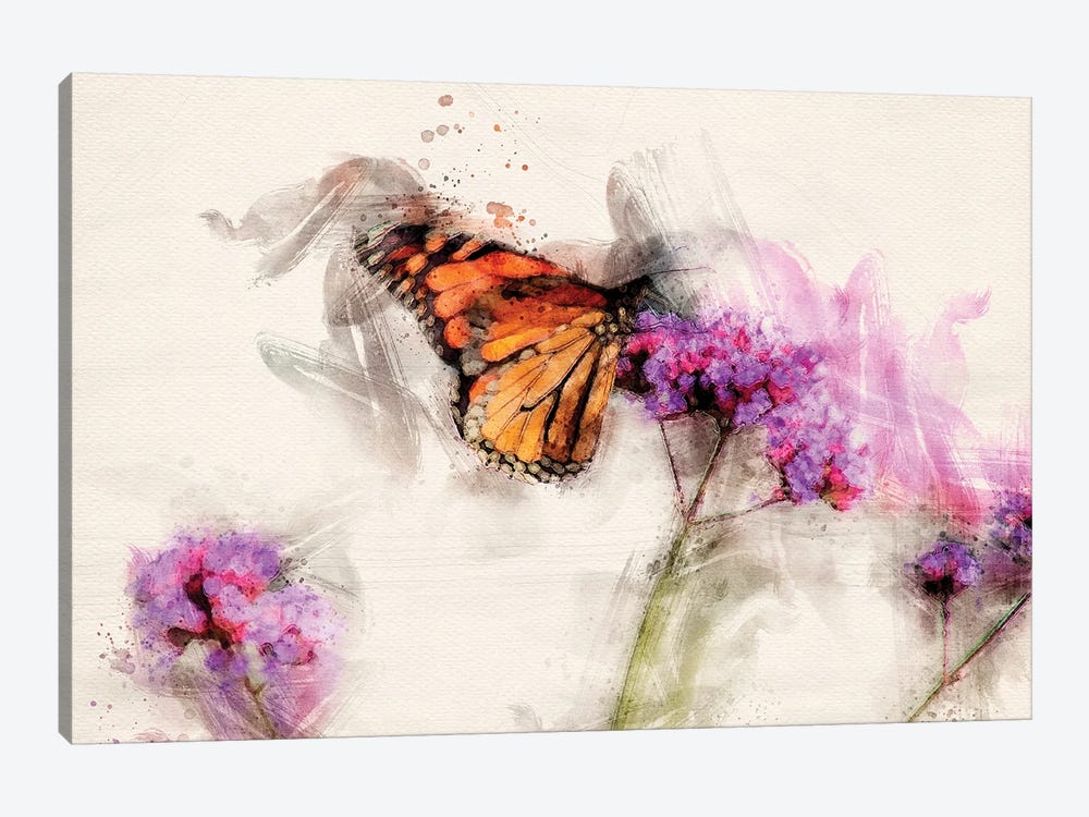 Butterfly IV by Kevin Clifford 1-piece Canvas Art Print