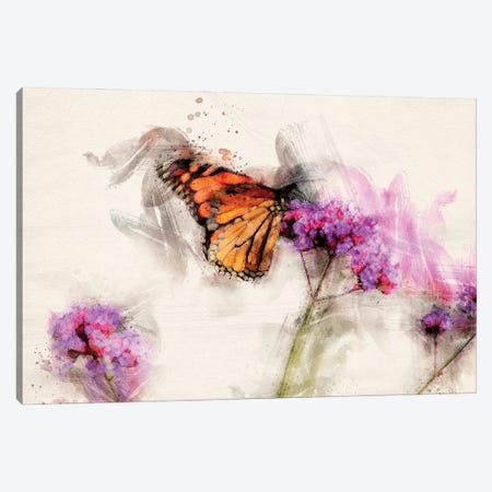Butterfly IV Canvas Print #KCF58} by Kevin Clifford Canvas Print