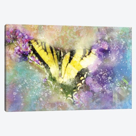 Butterfly V Canvas Print #KCF59} by Kevin Clifford Art Print