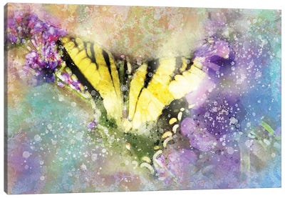 Butterfly V Canvas Art Print - Kevin Clifford