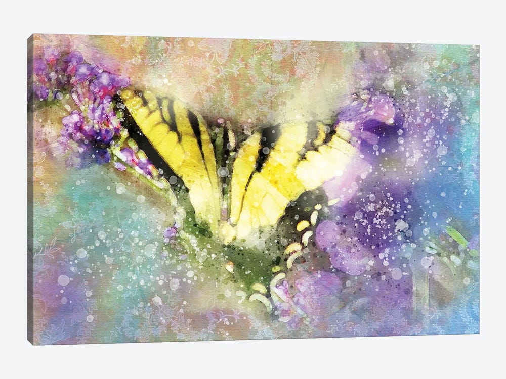 Butterfly V by Kevin Clifford 1-piece Canvas Artwork