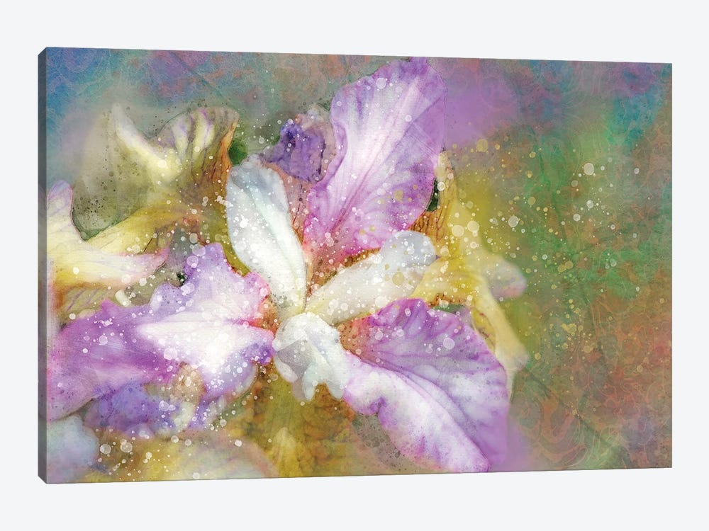Splashy Purple And Blue Iris by Kevin Clifford 1-piece Canvas Print