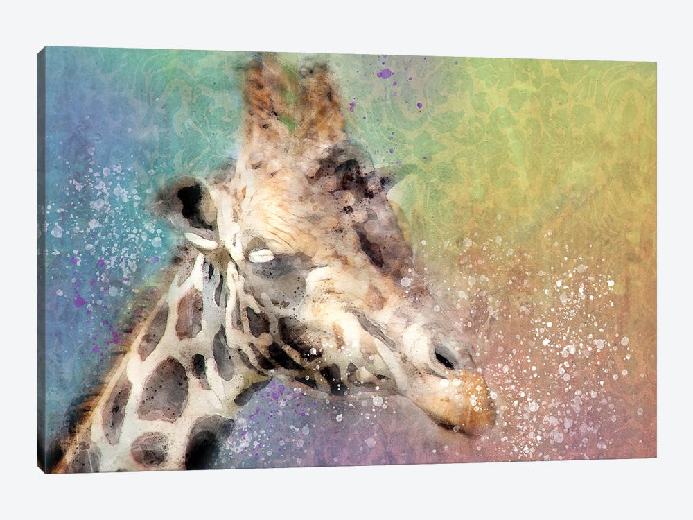 Giraffe by Kevin Clifford 1-piece Canvas Print