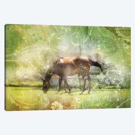 Horse Canvas Print #KCF62} by Kevin Clifford Canvas Art