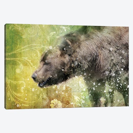 Splashy Bear Canvas Print #KCF63} by Kevin Clifford Canvas Wall Art