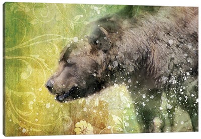 Splashy Bear Canvas Art Print - Kevin Clifford