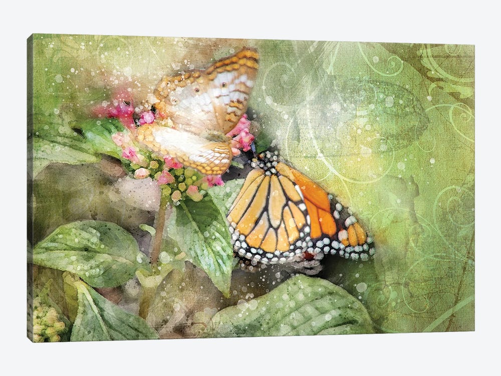 Butterflies by Kevin Clifford 1-piece Canvas Wall Art