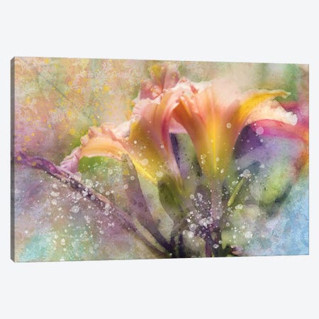 Floral I Canvas Print #KCF69} by Kevin Clifford Canvas Art