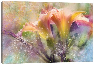 Floral I Canvas Art Print
