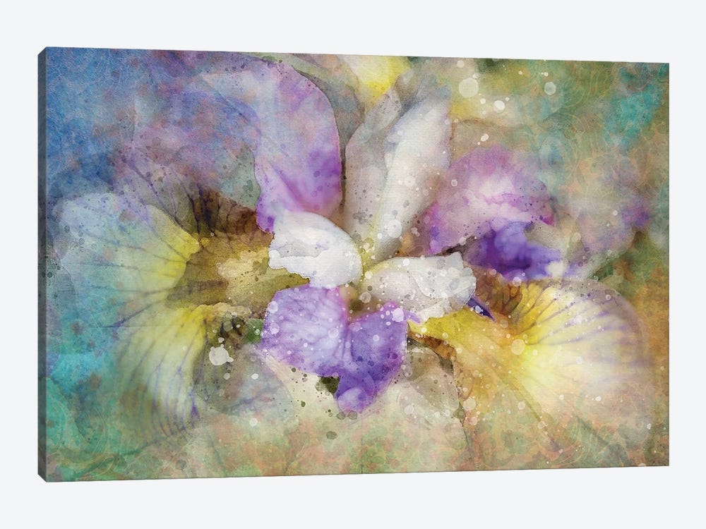 Splashy Purple Iris by Kevin Clifford 1-piece Canvas Wall Art