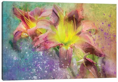 Floral II Canvas Art Print - Lily Art
