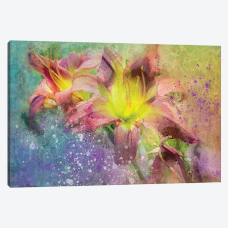 Floral II Canvas Print #KCF70} by Kevin Clifford Canvas Print