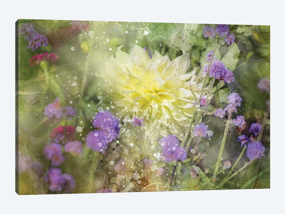 Floral III by Kevin Clifford 1-piece Canvas Wall Art