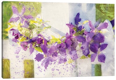 Floral V Canvas Art Print - Kevin Clifford