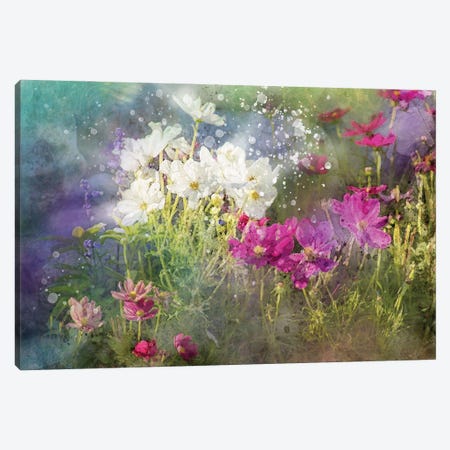 Floral VI Canvas Print #KCF74} by Kevin Clifford Canvas Wall Art