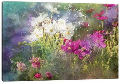 Floral VI Canvas Art Print - Kevin Clifford