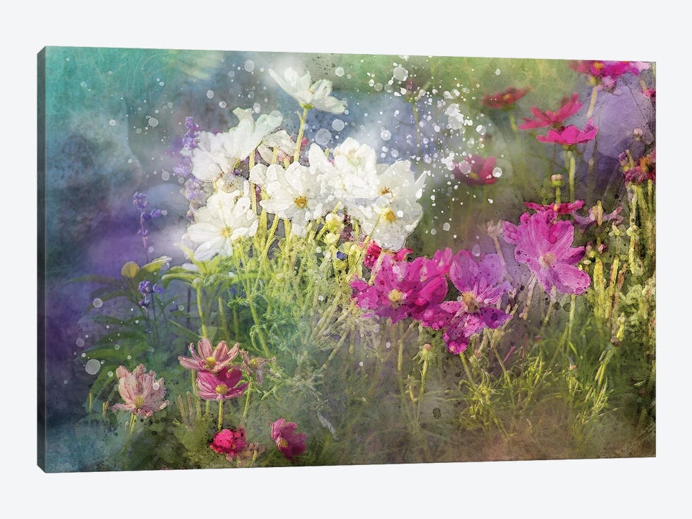 Floral VI by Kevin Clifford 1-piece Art Print