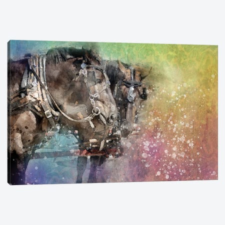 Horse Discussion Canvas Print #KCF78} by Kevin Clifford Art Print