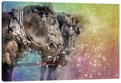 Horse Discussion Canvas Art Print - Kevin Clifford