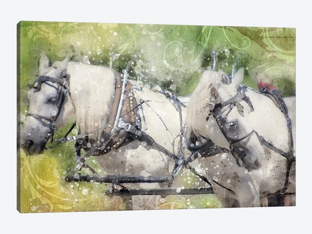 Horse Looking Back by Kevin Clifford 1-piece Canvas Art