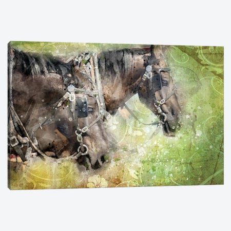 Horses Canvas Print #KCF80} by Kevin Clifford Canvas Wall Art