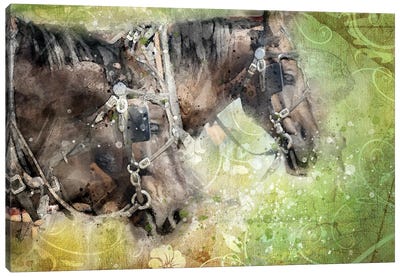 Horses Canvas Art Print - Kevin Clifford
