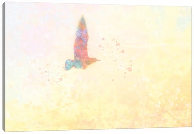 Mystic Gull Canvas Art Print - Kevin Clifford